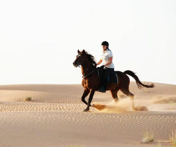 desert-horse-riding-dubai-uae